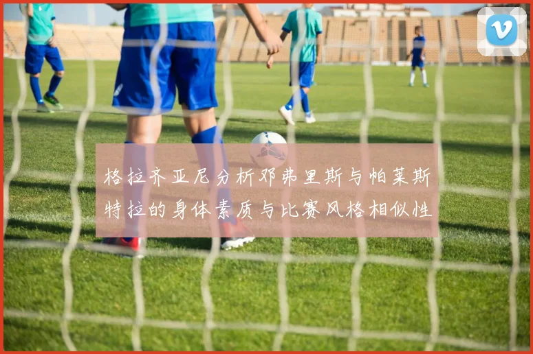 格拉齐亚尼分析邓弗里斯与帕莱斯特拉的身体素质与比赛风格相似性