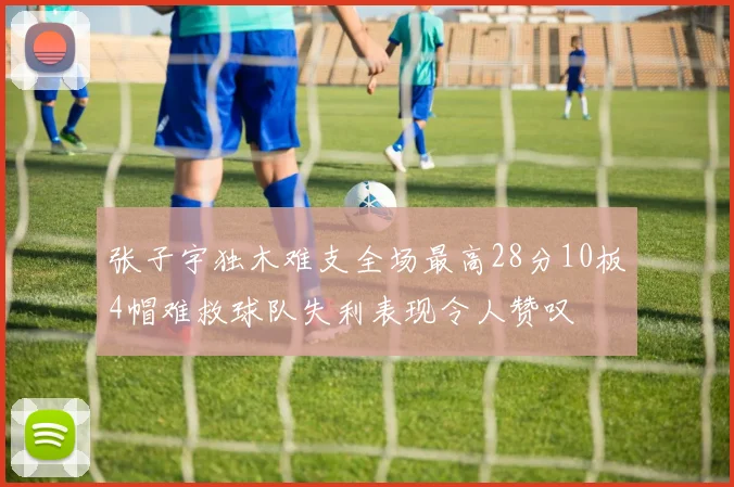 张子宇独木难支全场最高28分10板4帽难救球队失利表现令人赞叹