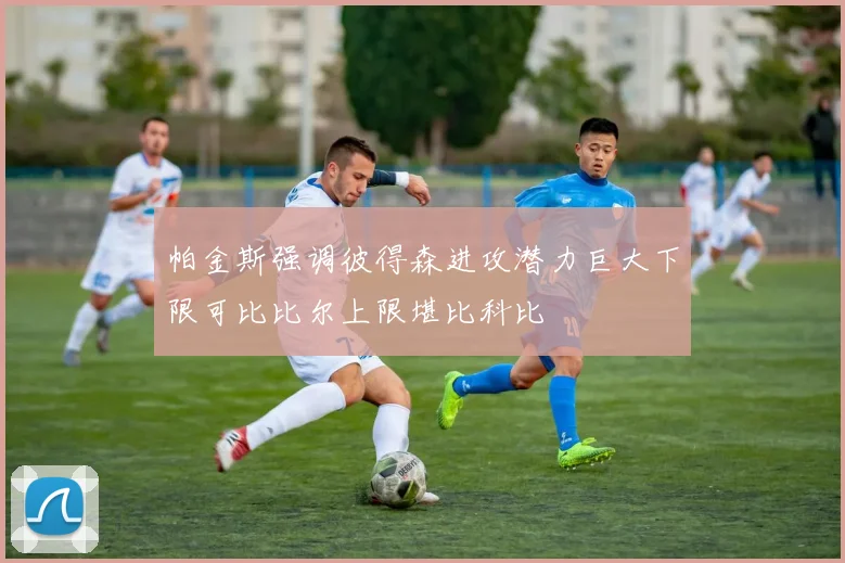 帕金斯强调彼得森进攻潜力巨大下限可比比尔上限堪比科比