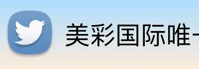 美彩国际唯一官网 Logo
